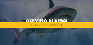 Adivina si eres el pez o el tiburón